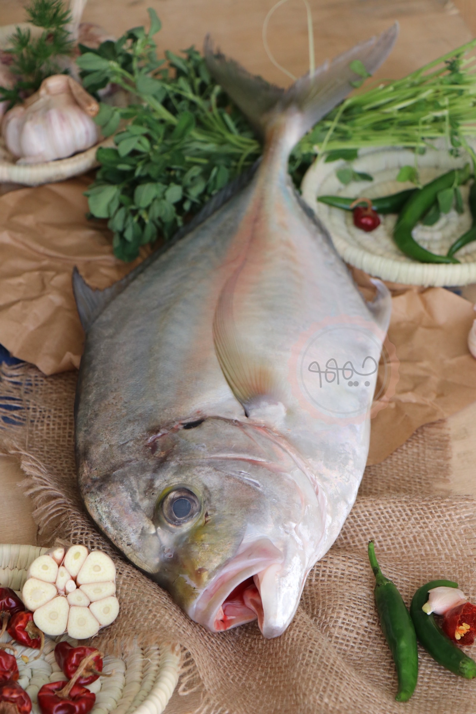 ماهی  جَش ،پک۵ کیلویی
