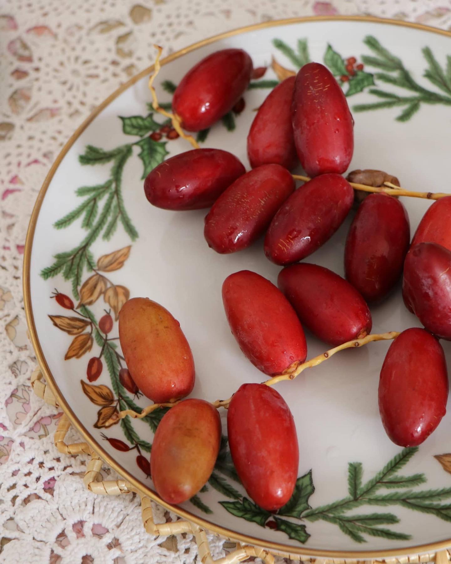 بشقاب کریسمسی